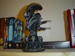 Bouh, m&ecirc;me pas peur !!!